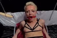 candy flip berlin meow berlin virtual reality porn