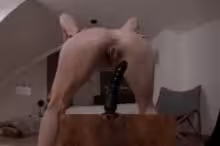 Sabdeluxe in Dildo Check, photo 4 of 4