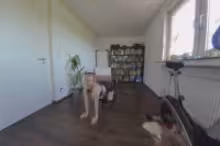 Maria Braun in Geile Katze Bringt Dich Zum Spritzen, photo 1 of 4