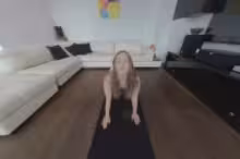 Phoneixa in Hot Young Phoenixa - Naked Yoga Namaste, photo 1 of 4