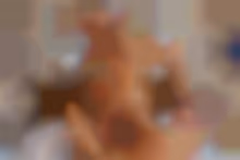 Dont Steal My Clothes VR porn