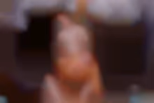 VirtualRealGay VR porn video featuring michael creek james lewis jacob harris