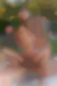 mickey taylor bruno fox nick north VR porn