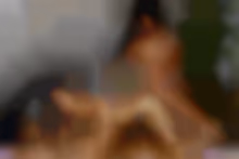 lola aiko victoria grant miles fallon VR porn