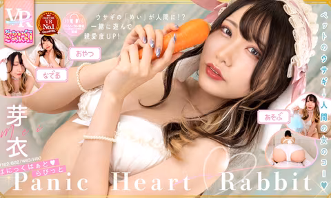Mei  Panic Heart Rabbit  Sorry For Being Too Cute VR Porn Video