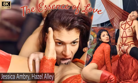 The Essence Of Love VR Porn Video