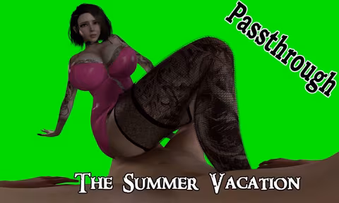 The Summer Vacation Passthrough VR porn video