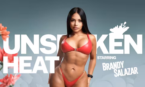 Unspoken Heat VR Porn Video